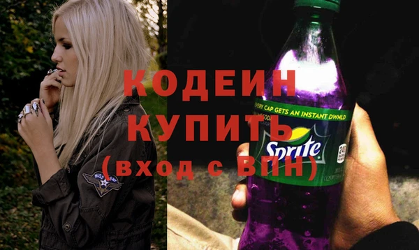 индика Балабаново