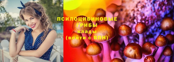 скорость Баксан
